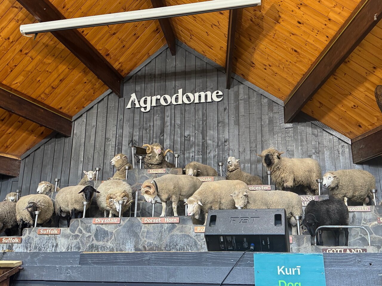 Agrodome – Rotorua